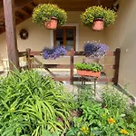 U Jezirka Appartement Nová Bystřice