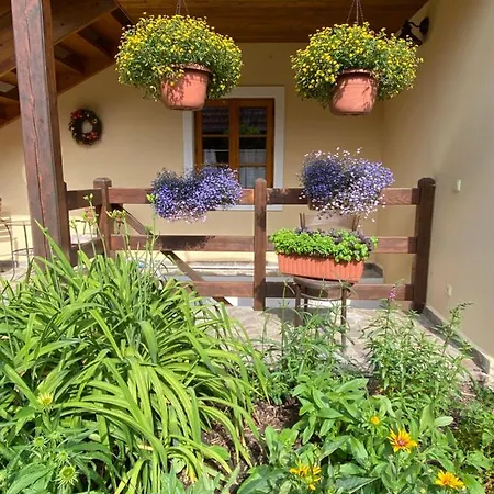 U Jezirka Appartement Nová Bystřice