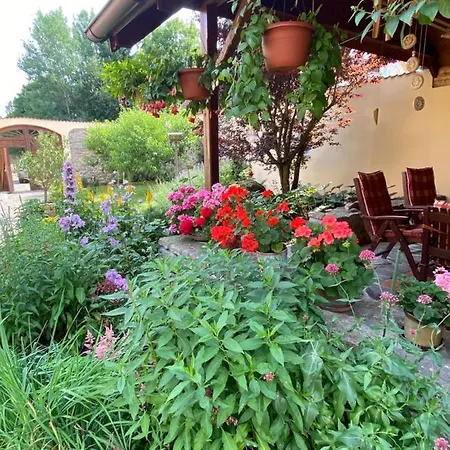 U Jezirka Appartement